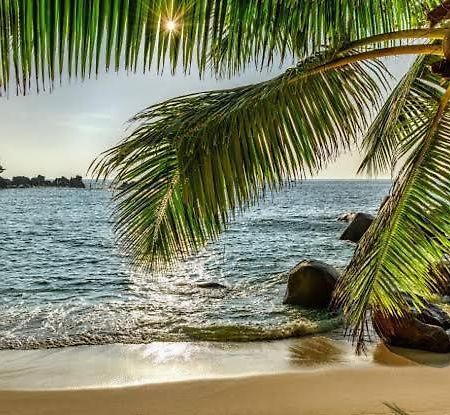 Baga Beach Palms 外观 照片