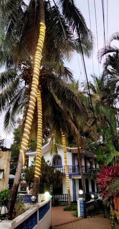 Baga Beach Palms 外观 照片